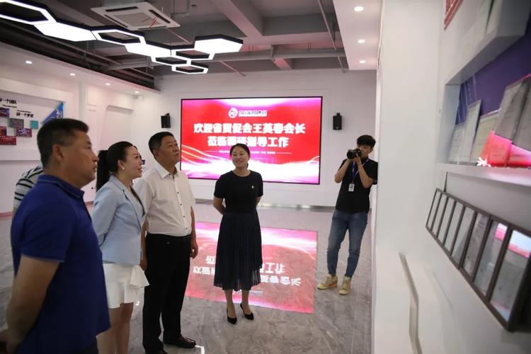 龙采科技集团与英王网络 技术协同与产业生态的双轮驱动